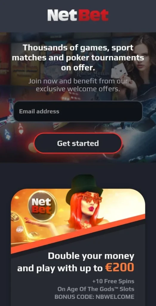 NetBet Casino Game