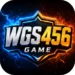 WGs456 Game